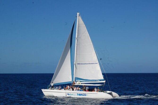 rodney-bay-to-soufriere-catamaran-transfer-2