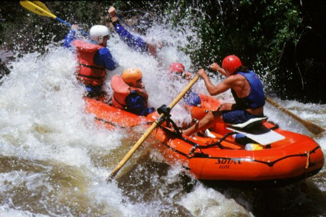 rogue-river-whitewater-morning-rafting-adventure