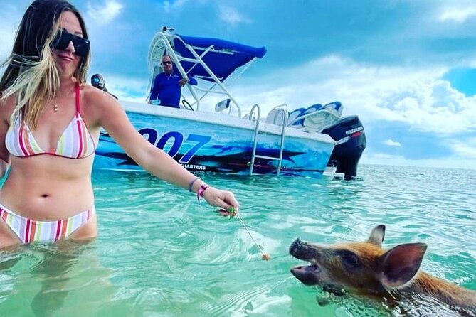 rose-island-private-beach-swimming-with-the-pigs