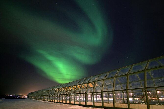 rovaniemi-walking-tour-and-guided-arktikum-experience