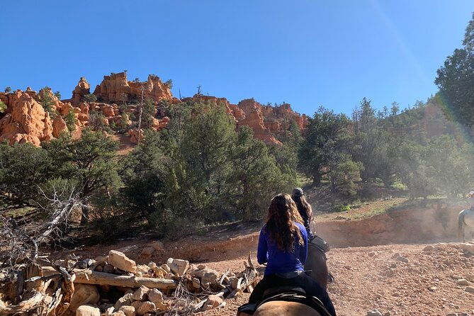 rubys-horseback-adventures-utah-half-day-ride