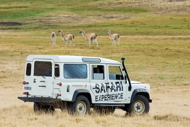 safari-experience-wildlife-steppe
