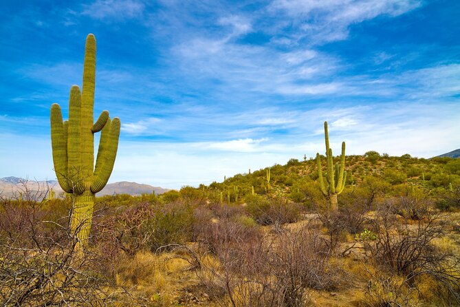 saguaro-np-and-mt-lemmon-self-guided-driving-audio-tour-bundle