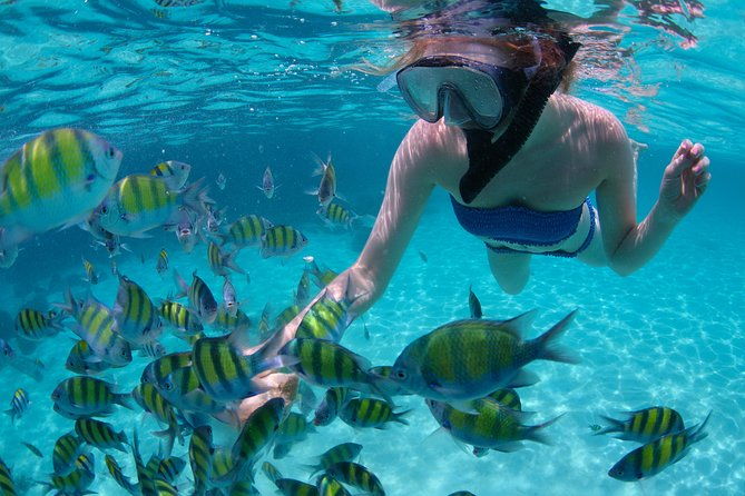sail-snorkel-adventure-from-sapphire-marinastt-no-crowds-6-guest-max