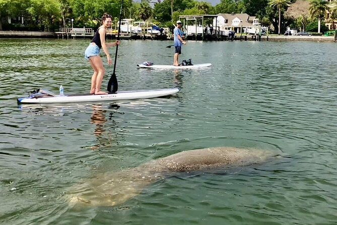 saint-petersburg-paddle-board-tour