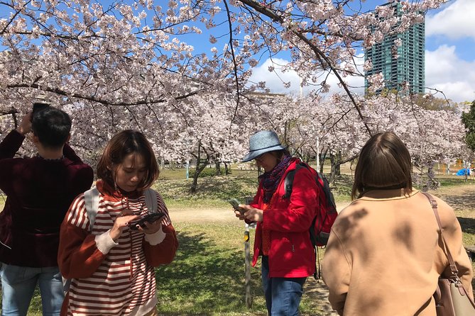sakura-picnic-hanami-in-osaka-spring-only-2