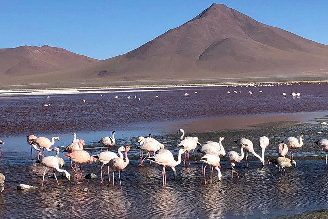 salar-de-uyuni-3-days