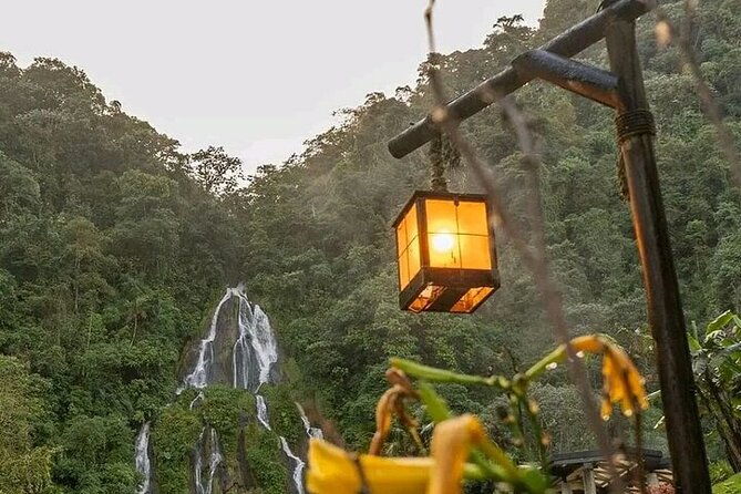 salento-cocora-and-hot-springs-tour-from-pereira-or-armenia