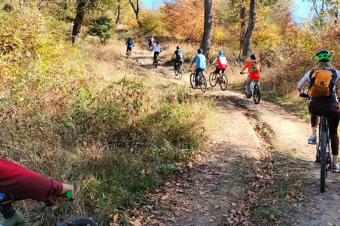 sambata-de-sus-e-bike-guided-tours