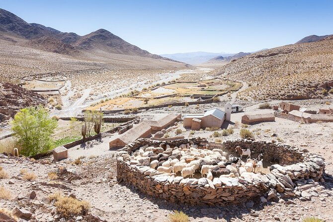 san-antonio-de-los-cobres-day-venture-from-salta