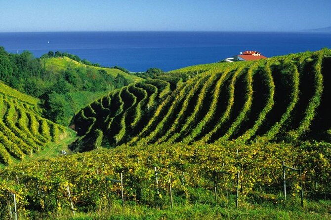san-juan-de-gaztelugatxe-with-winery-visit-and-lunch-from-bilbao
