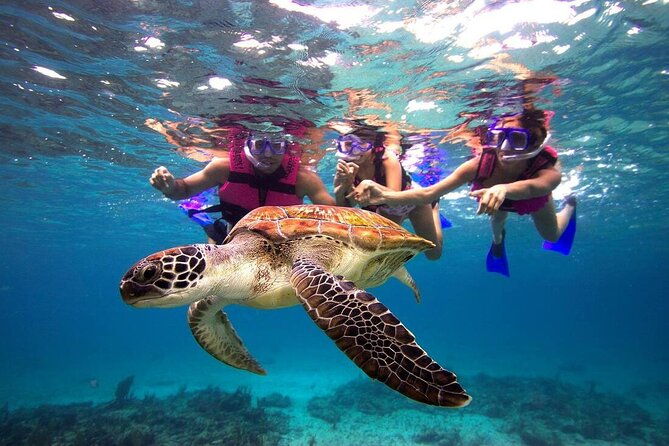san-juan-guided-snorkeling-experience-with-transport-8am-or-3pm