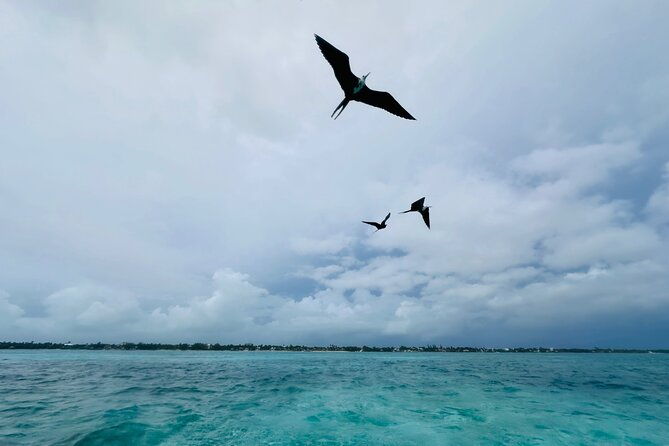 san-pedro-fun-filled-day-private-snorkeling-tour