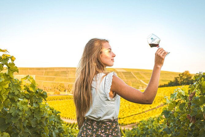 sancerre-private-wine-tour-with-10-tastings-and-lunch-from-paris