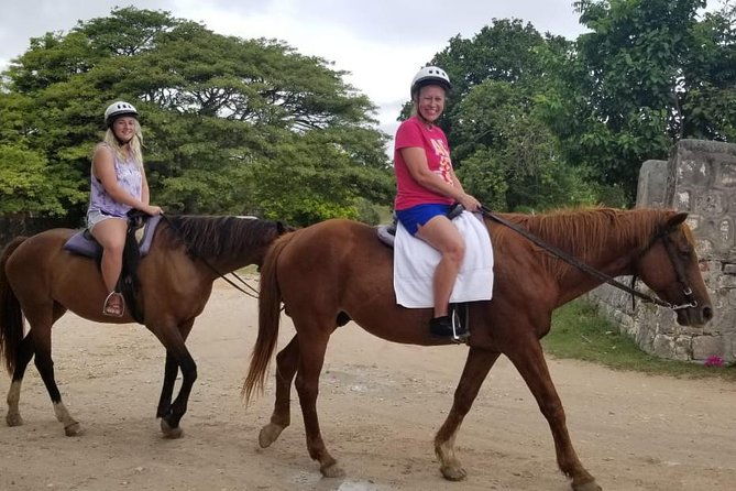sand-n-saddle-horseback-ride-swim-tour-from-falmouth