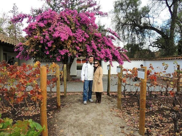santa-rita-winery-premium-tour