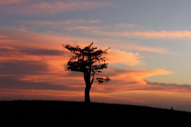 santa-rosa-national-park-liberia-city-tour-incl-lunch