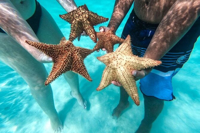 saona-island-adventure-from-punta-cana