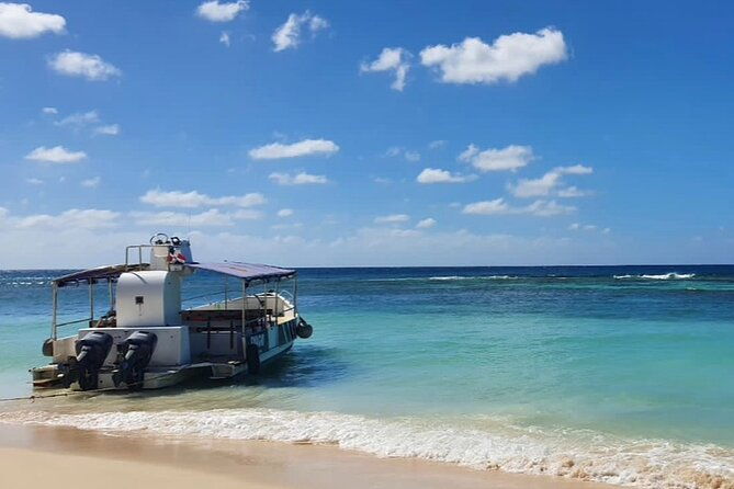saona-island-excursion-small-group-on-motorized-trimaran