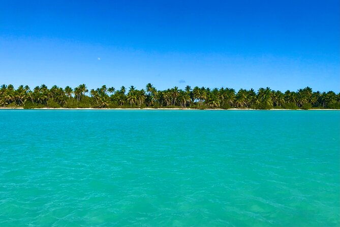 saona-island-full-day-tour-with-buffet-lunch-paella-open-bar