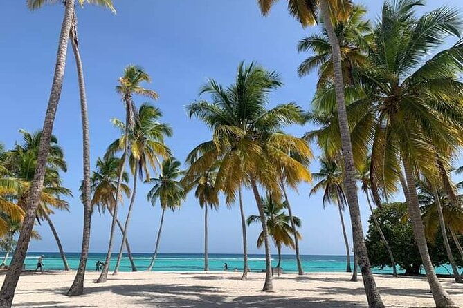 saona-island-tours-with-transportation-and-lunch-included-open-bar