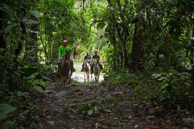 sarapiqui-forest-horseback-riding-experience-in-costa-rica