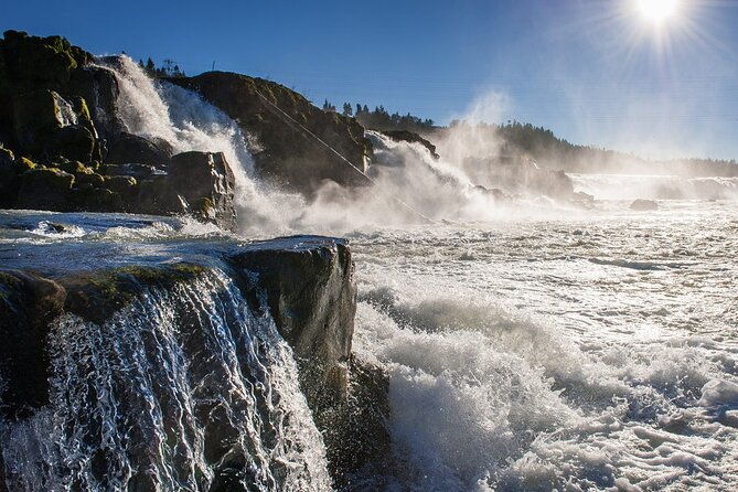 scenic-2-hour-river-cruise-to-the-majestic-willamette-falls