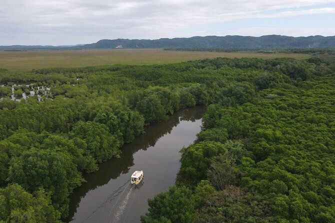 scenic-historical-nature-boat-safari-up-the-negril-river
