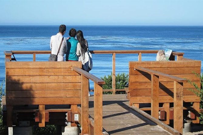 scenic-path-carmel-by-the-sea-a-self-guided-audio-tour