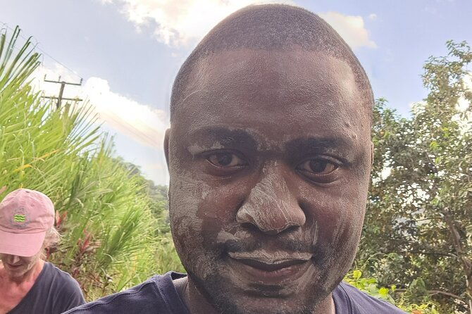 scenic-tour-of-city-and-rainforest-waterfall-sulphur-springs