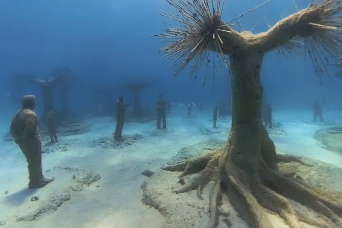 scuba-diving-experience-musan-dive-free-edited-video-2xdives