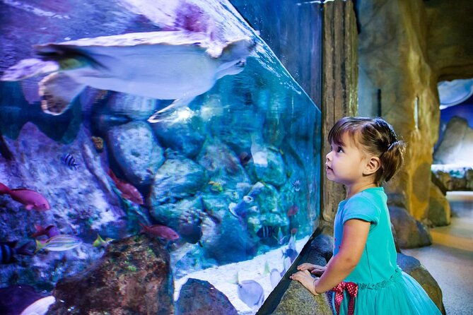 sea-life-aquarium-grapevine-admission-ticket-2