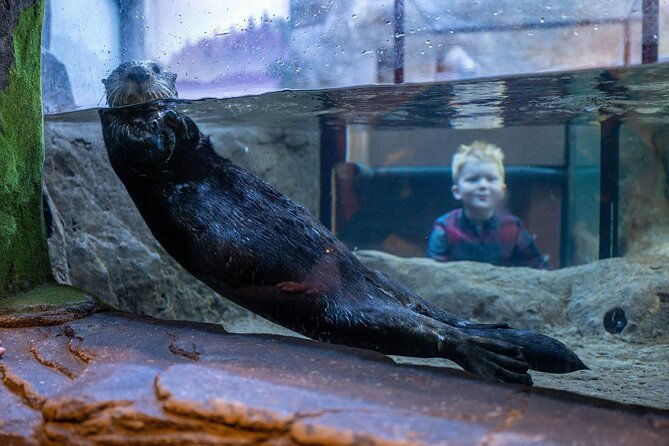 sea-life-birmingham-admission-ticket-3