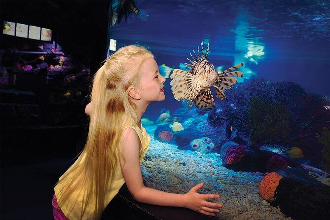 sea-life-charlotte-concord-aquarium-admission-ticket