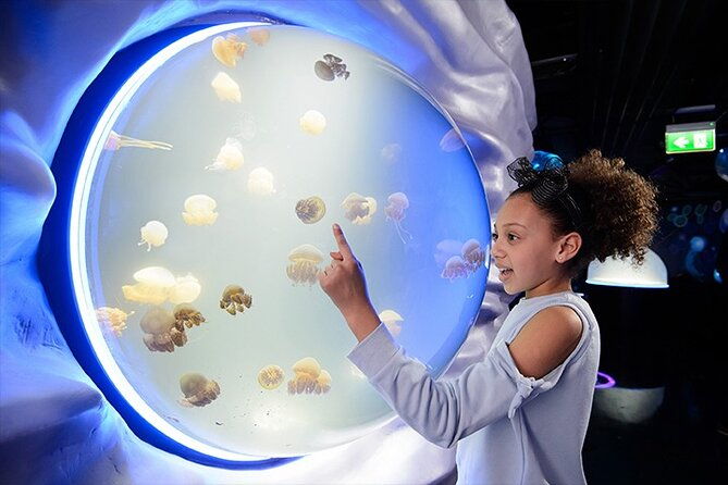 sea-life-london-aquarium-admission-ticket