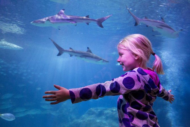 sea-life-michigan-aquarium-admission-ticket