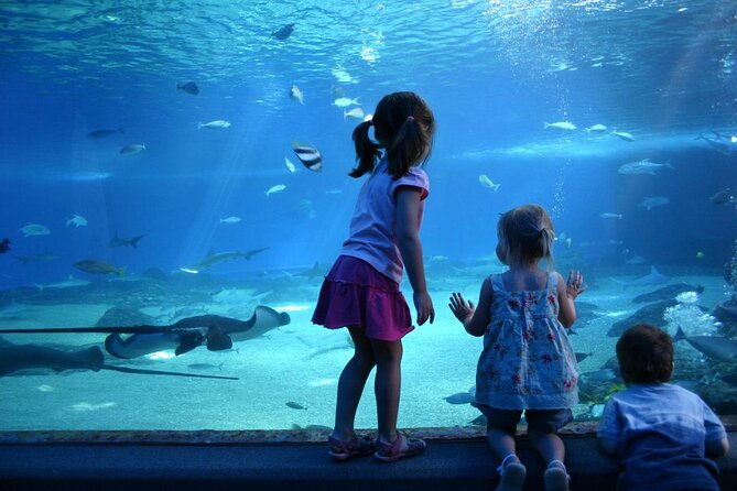 sea-life-munich-admission-ticket