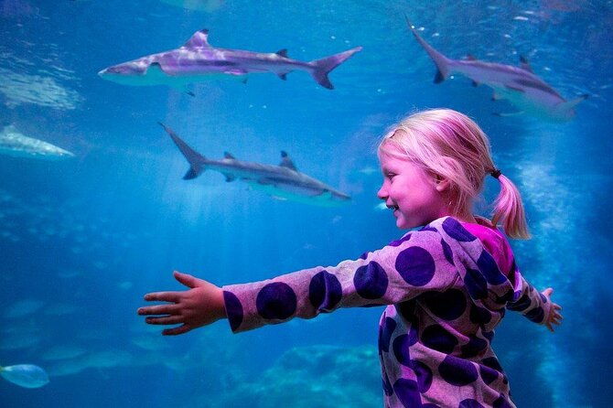 sea-life-oberhausen-admission-ticket