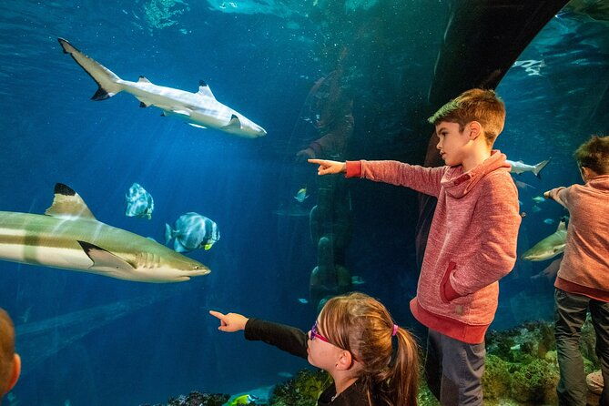 sea-life-speyer-admission-ticket