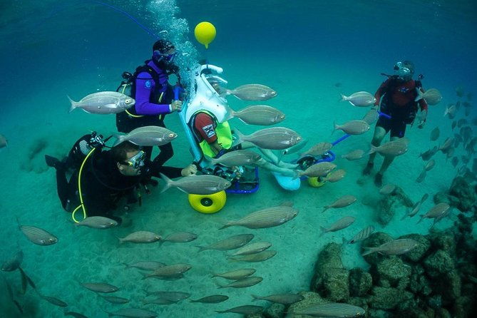 sea-trek-and-diving-for-handicaped-people