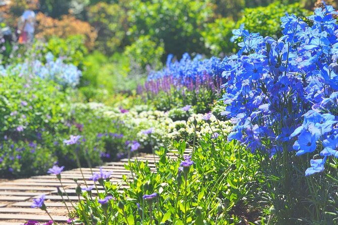 seasonal-colors-at-ashikaga-flower-park-from-karuizawa