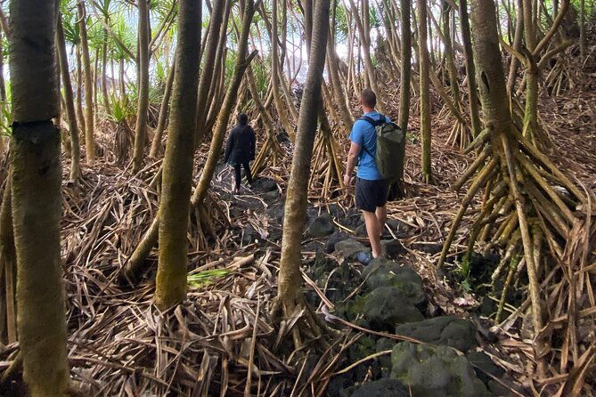 secret-jungle-tide-pool-hike-private