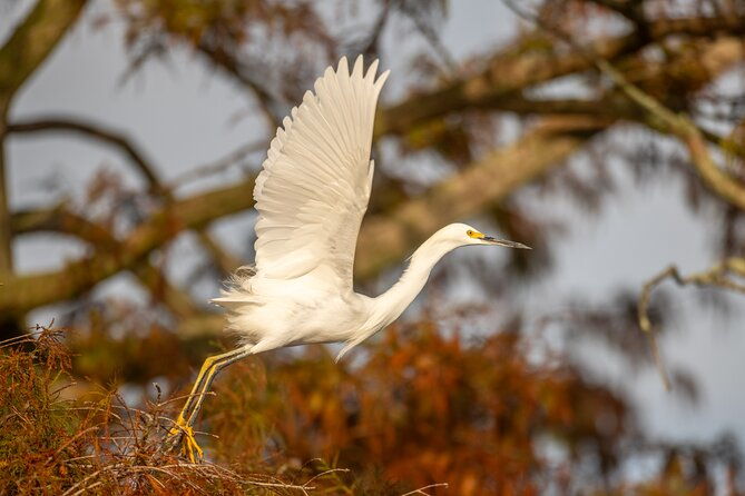 see-the-real-florida-with-a-private-nature-and-wildlife-boat-tour