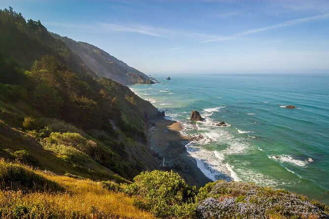 self-guided-driving-audio-tour-of-redwood-national-and-state-park