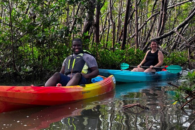 self-guided-ecotour-clear-standard-kayaks-bonita-springs