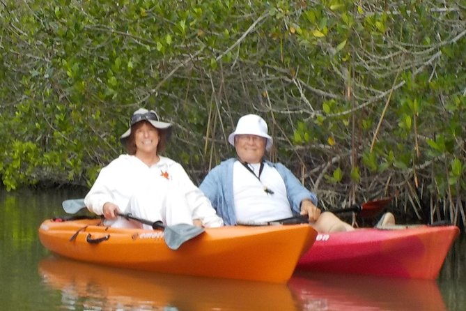 self-guided-kayaking-manatee-and-dolphin-tour
