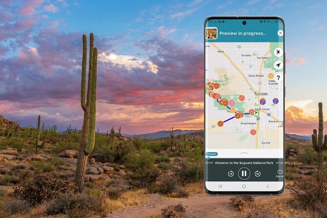 self-guided-saguaro-national-park-driving-tour