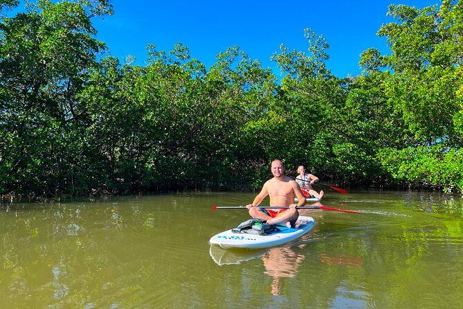 self-guided-standup-paddle-board-ecotour-bonita-springs