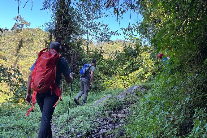 self-guided-walk-in-the-iral-cloud-forest-trails
