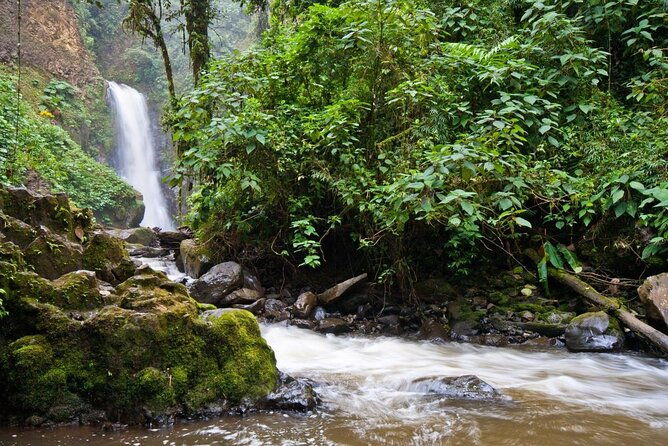 semi-private-la-paz-waterfall-gardens-safari-in-sarapiqui-river-from-san-jose